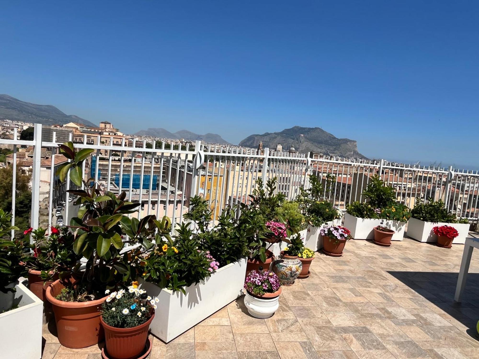 Lealbe Di Sicilia, Palermo